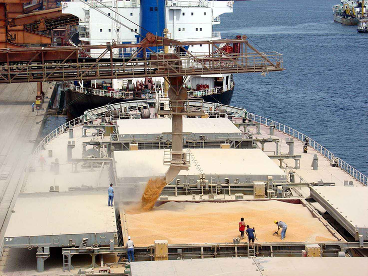 Porto de Paranaguá já supera exportação anual de soja, farelo, trigo e óleo vegetal  